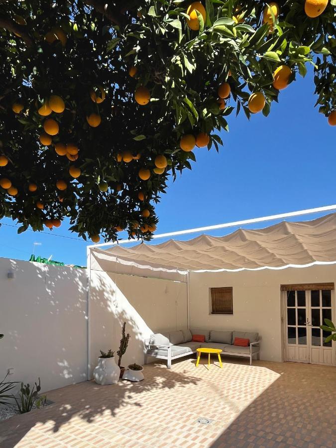 Carrion de Los Cespedes Design & Art, Patio With Orange Tree, Near Seville מראה חיצוני תמונה
