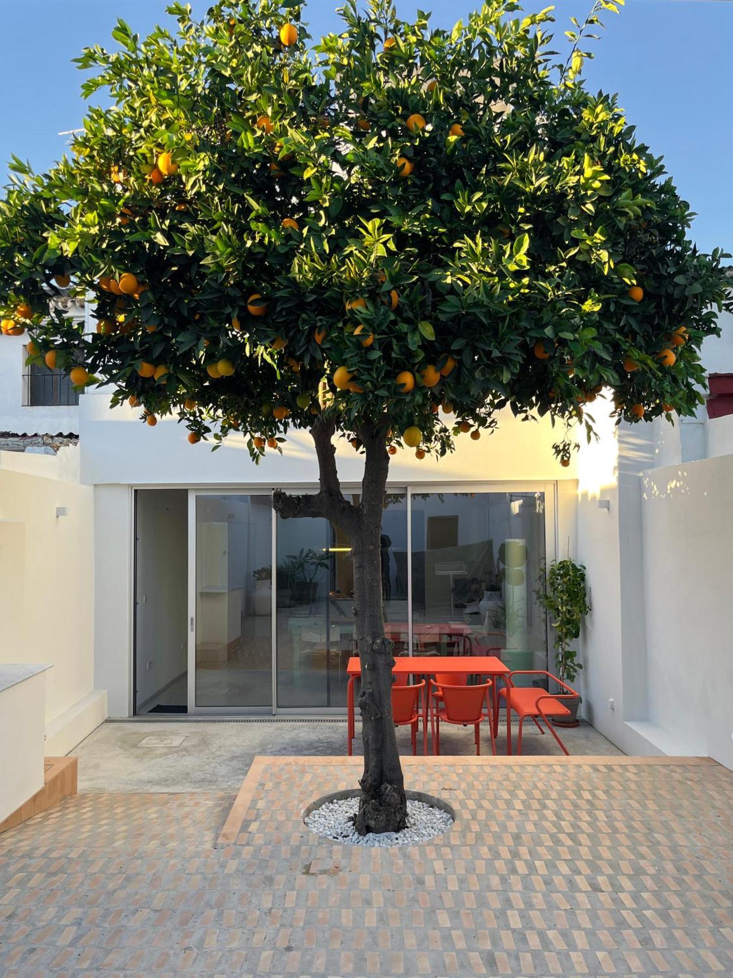 Carrion de Los Cespedes Design & Art, Patio With Orange Tree, Near Seville מראה חיצוני תמונה