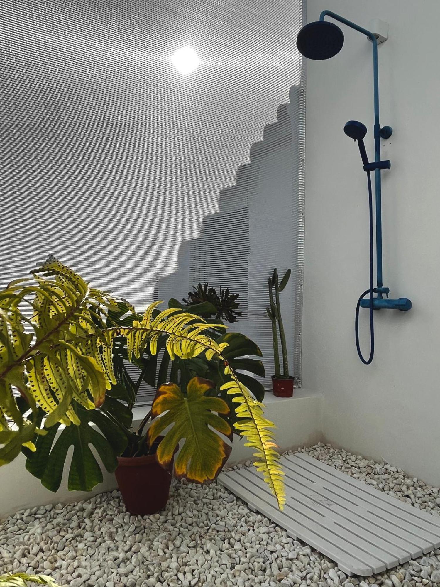 Carrion de Los Cespedes Design & Art, Patio With Orange Tree, Near Seville מראה חיצוני תמונה